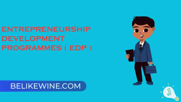 Entrepreneurship Development Programmes ( EDP )