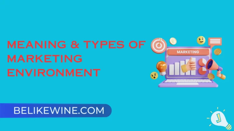 Meaning & Types of Marketing Environment