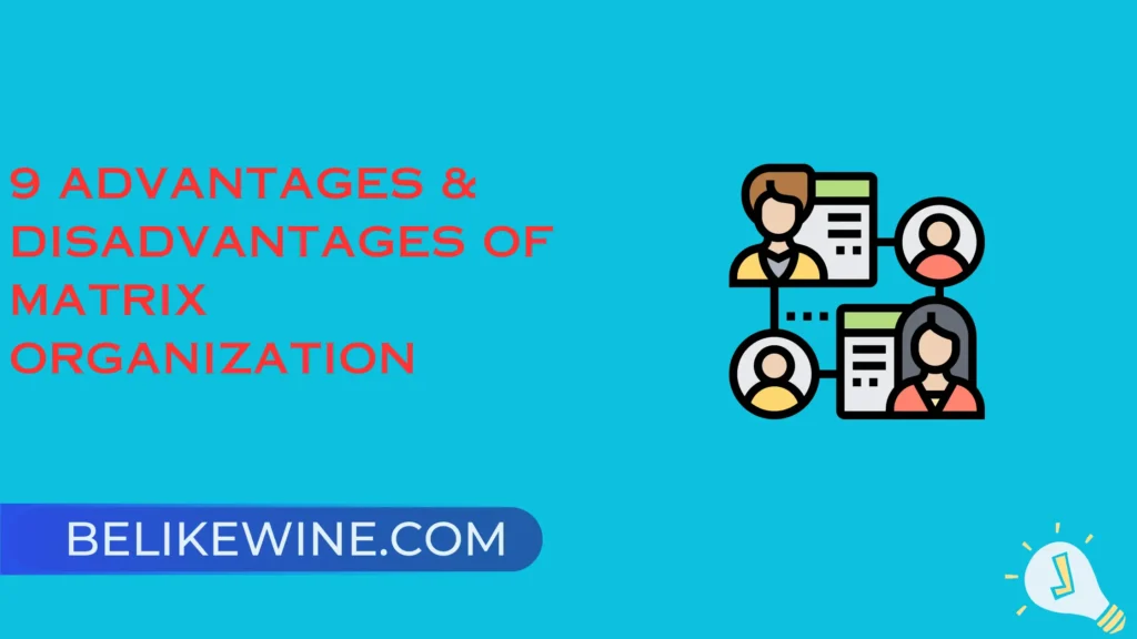 9-advantages-disadvantages-of-matrix-organization-belikewine